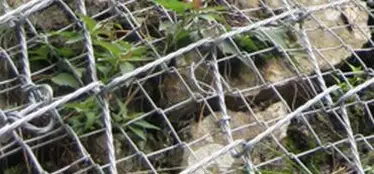 Укрепление склонов SPIDER®