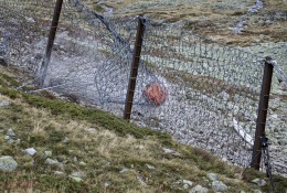rock hits fence - Geohazard Monitoring at Flüela, Switzerland. Rockfall test in 2019