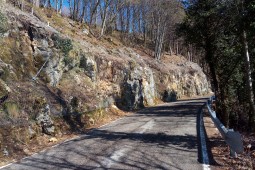 Protecţia împotriva căderilor de pietre - Borso del Grappa, Veneto 2021