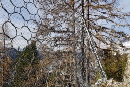 Protección contra caídas de rocas - Seehorn Davos 2022
